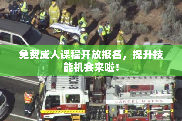 免费成人课程开放报名，提升技能机会来啦！