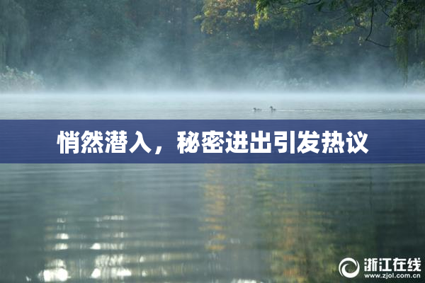 悄然潜入，秘密进出引发热议