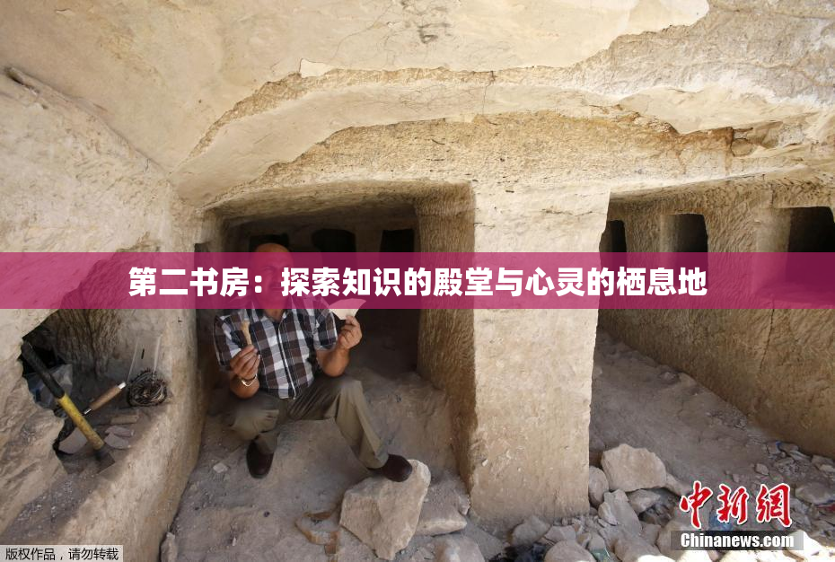 第二书房：探索知识的殿堂与心灵的栖息地