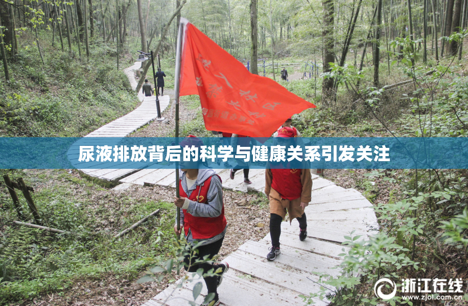尿液排放背后的科学与健康关系引发关注