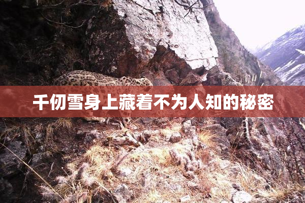 千仞雪身上藏着不为人知的秘密