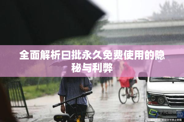 全面解析曰批永久免费使用的隐秘与利弊