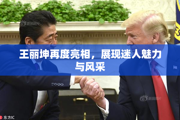 王丽坤再度亮相，展现迷人魅力与风采