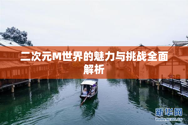二次元M世界的魅力与挑战全面解析