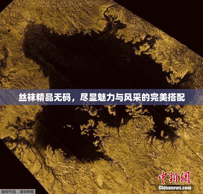 丝袜精品无码，尽显魅力与风采的完美搭配