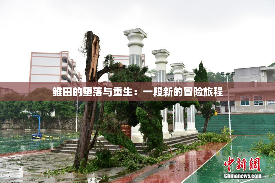 雏田的堕落与重生：一段新的冒险旅程