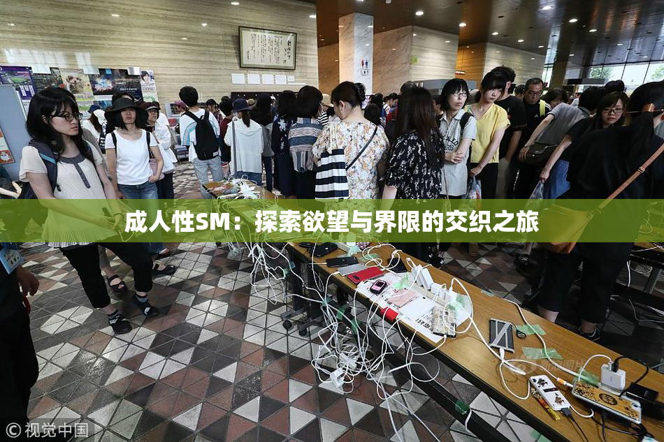 成人性SM：探索欲望与界限的交织之旅