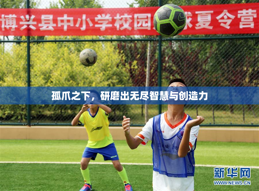 孤爪之下，研磨出无尽智慧与创造力