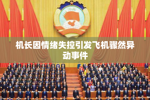 机长因情绪失控引发飞机骤然异动事件