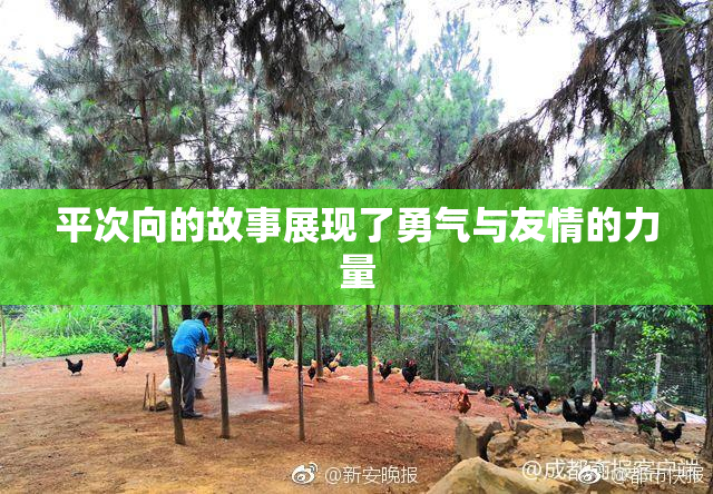 平次向的故事展现了勇气与友情的力量