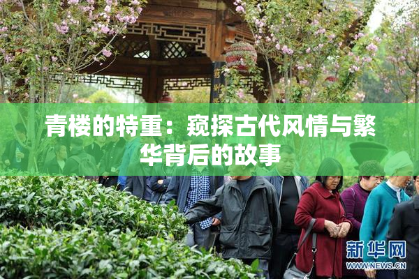 青楼的特重：窥探古代风情与繁华背后的故事