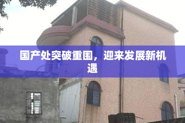 国产处突破重围，迎来发展新机遇