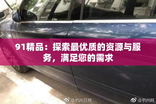 91精品：探索最优质的资源与服务，满足您的需求