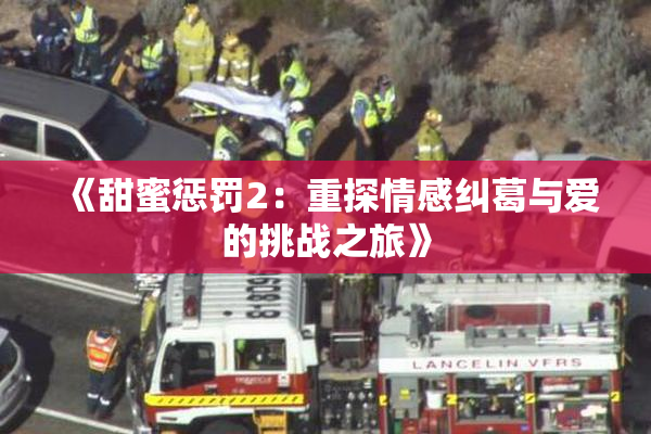 《甜蜜惩罚2：重探情感纠葛与爱的挑战之旅》