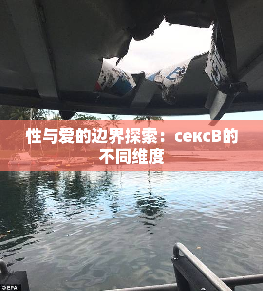 性与爱的边界探索：сексB的不同维度