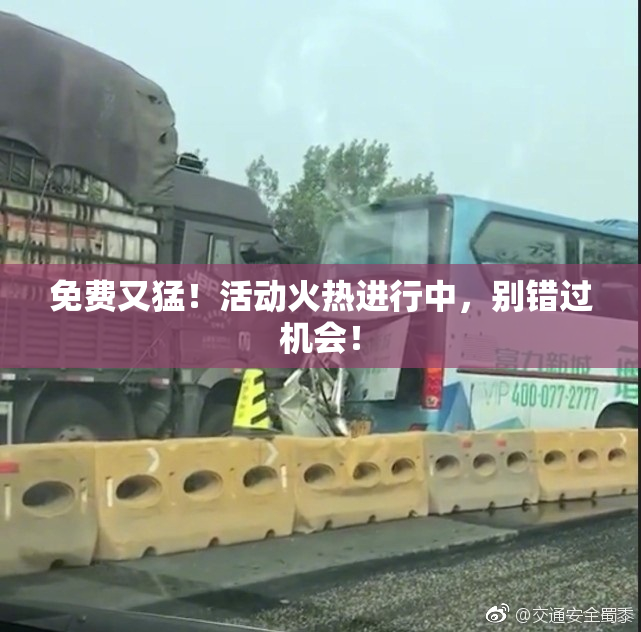 免费又猛！活动火热进行中，别错过机会！