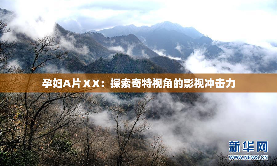 孕妇A片ⅩX：探索奇特视角的影视冲击力