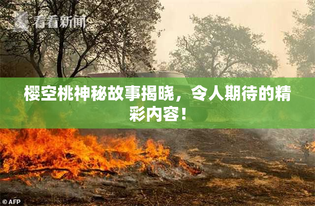 樱空桃神秘故事揭晓，令人期待的精彩内容！