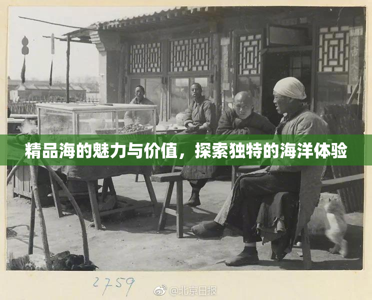 精品海的魅力与价值，探索独特的海洋体验