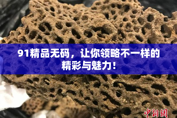91精品无码，让你领略不一样的精彩与魅力！