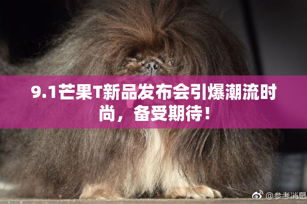 9.1芒果T新品发布会引爆潮流时尚，备受期待！