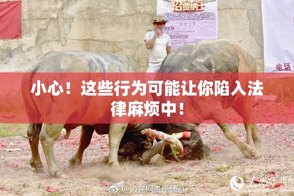 小心！这些行为可能让你陷入法律麻烦中！