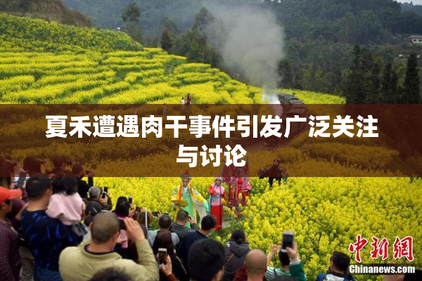 夏禾遭遇肉干事件引发广泛关注与讨论