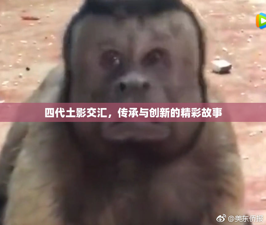 四代土影交汇，传承与创新的精彩故事