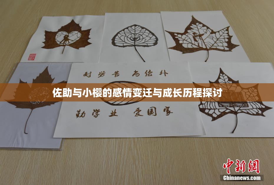 佐助与小樱的感情变迁与成长历程探讨