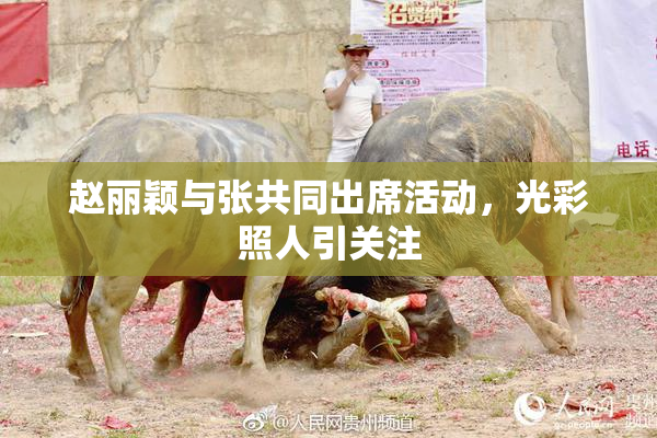 赵丽颖与张共同出席活动，光彩照人引关注