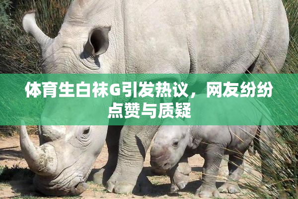 体育生白袜G引发热议，网友纷纷点赞与质疑
