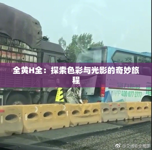 全黄H全：探索色彩与光影的奇妙旅程