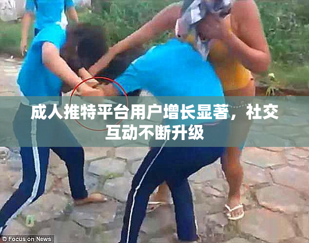 成人推特平台用户增长显著，社交互动不断升级