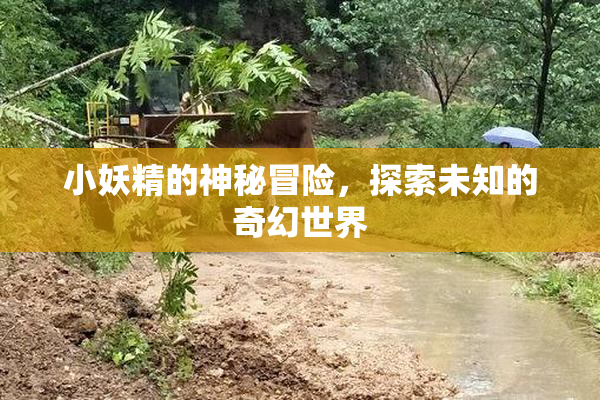 小妖精的神秘冒险，探索未知的奇幻世界