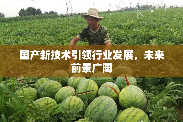 国产新技术引领行业发展，未来前景广阔