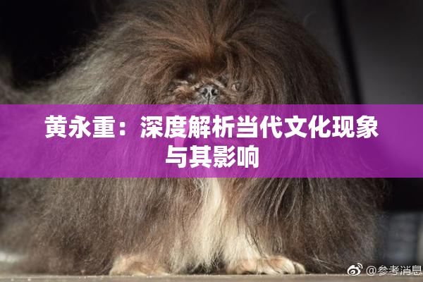 黄永重：深度解析当代文化现象与其影响