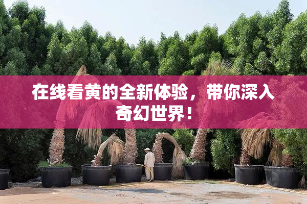 在线看黄的全新体验，带你深入奇幻世界！