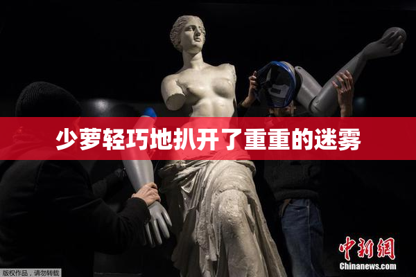 少萝轻巧地扒开了重重的迷雾