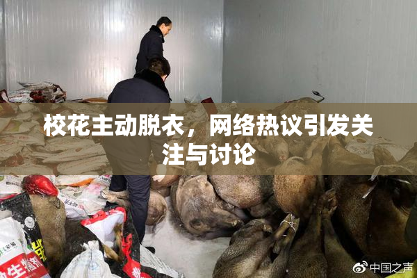 校花主动脱衣，网络热议引发关注与讨论