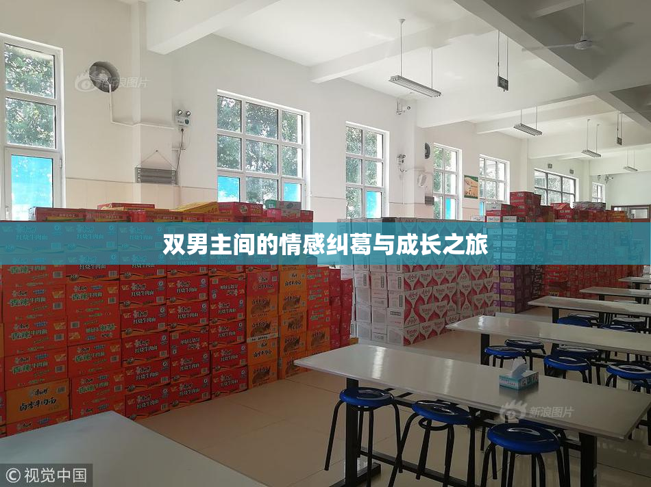 双男主间的情感纠葛与成长之旅