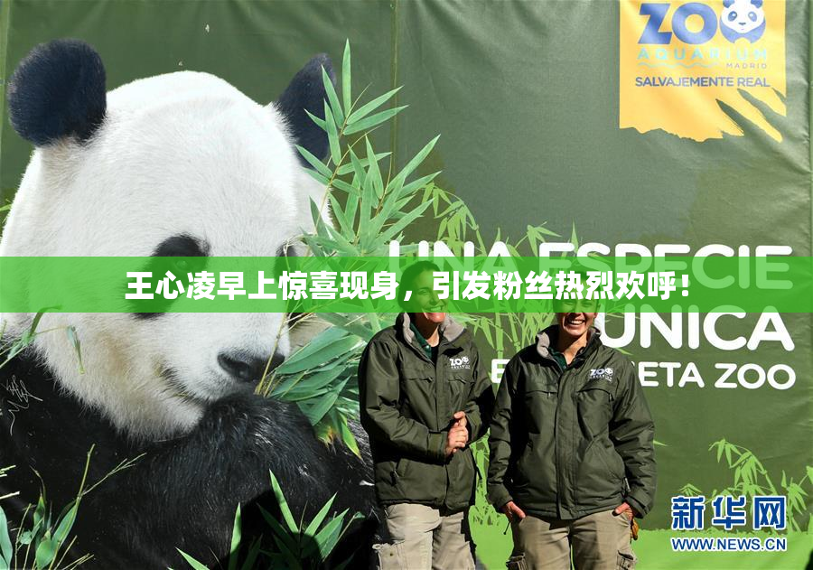 王心凌早上惊喜现身，引发粉丝热烈欢呼！
