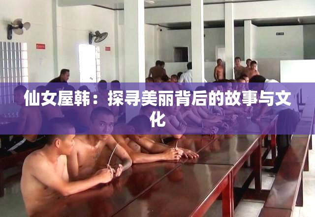 仙女屋韩：探寻美丽背后的故事与文化