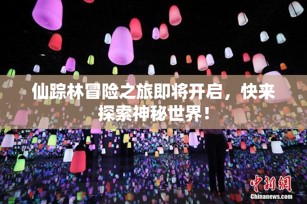 仙踪林冒险之旅即将开启，快来探索神秘世界！
