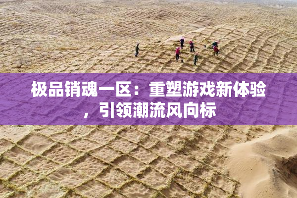极品销魂一区：重塑游戏新体验，引领潮流风向标