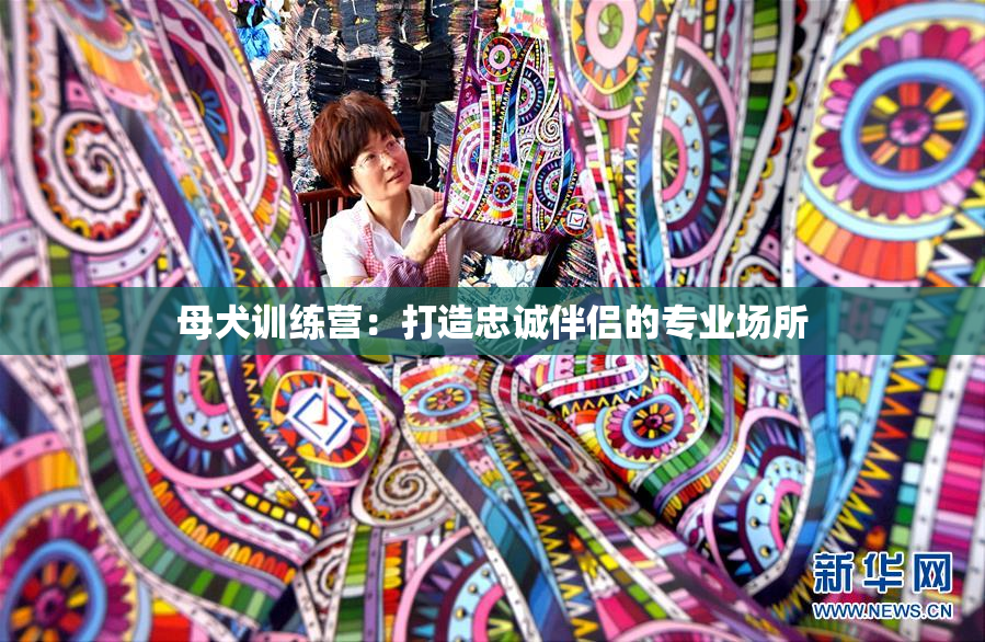 母犬训练营：打造忠诚伴侣的专业场所