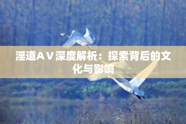 淫道AⅤ深度解析：探索背后的文化与影响