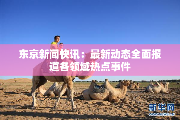 东京新闻快讯：最新动态全面报道各领域热点事件