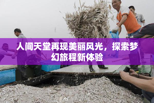 人间天堂再现美丽风光，探索梦幻旅程新体验