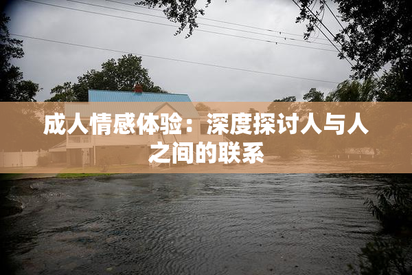 成人情感体验：深度探讨人与人之间的联系