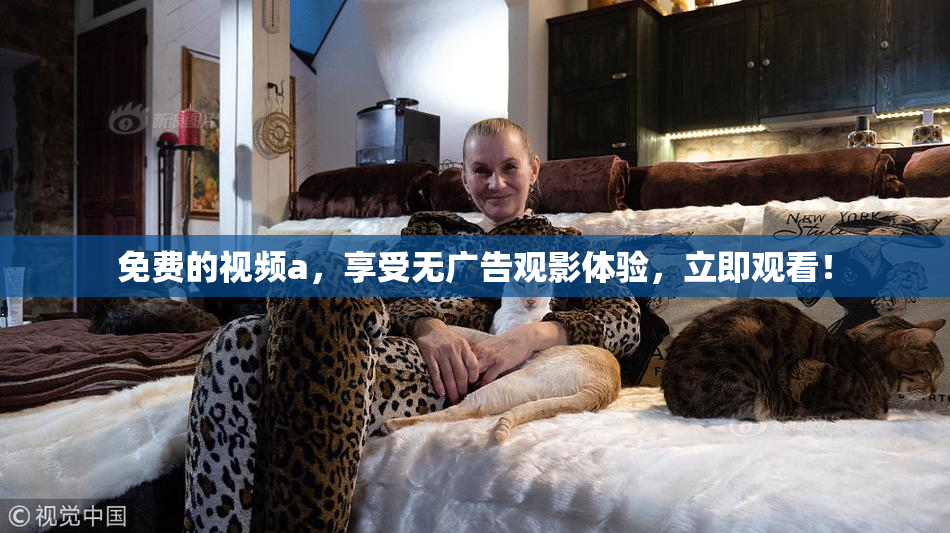 免费的视频a，享受无广告观影体验，立即观看！